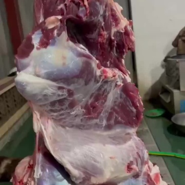 当天现宰纯干鲜牛肉
