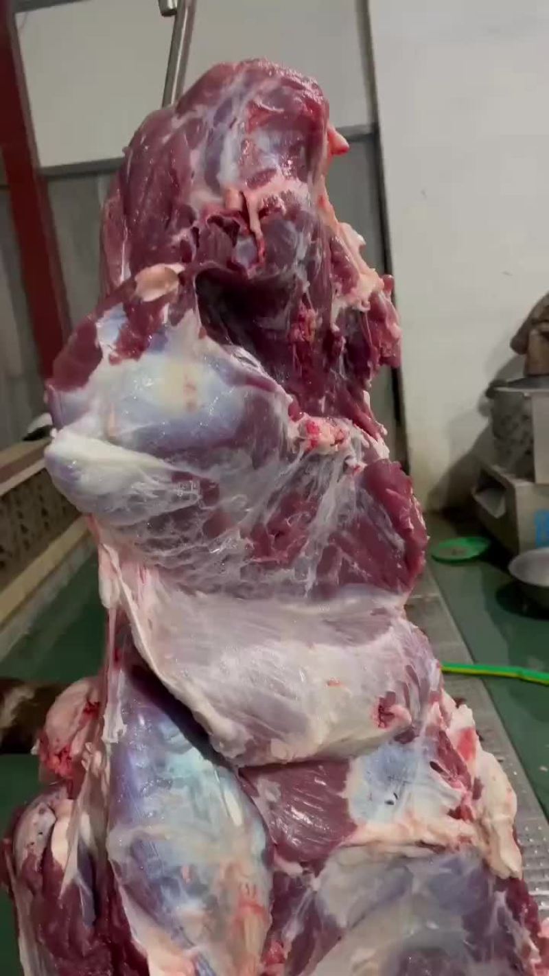 当天现宰纯干鲜牛肉
