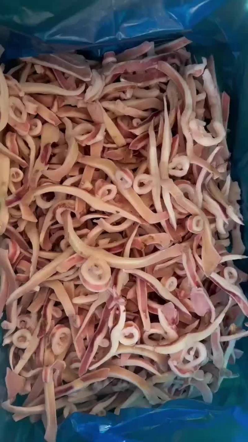 小飞燕，货源充足，价格便宜，品质保证，欢迎咨询。