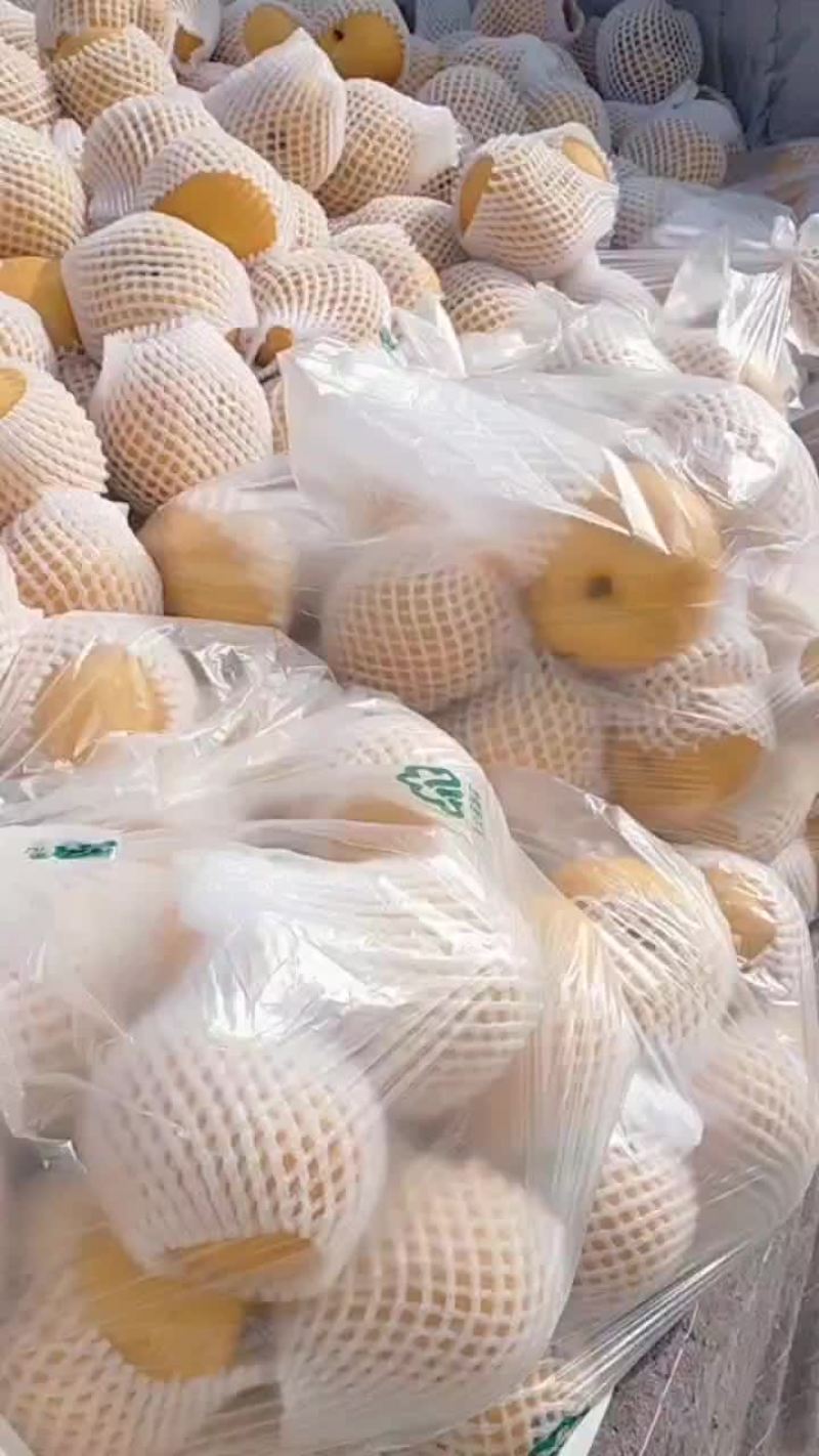 二级南水