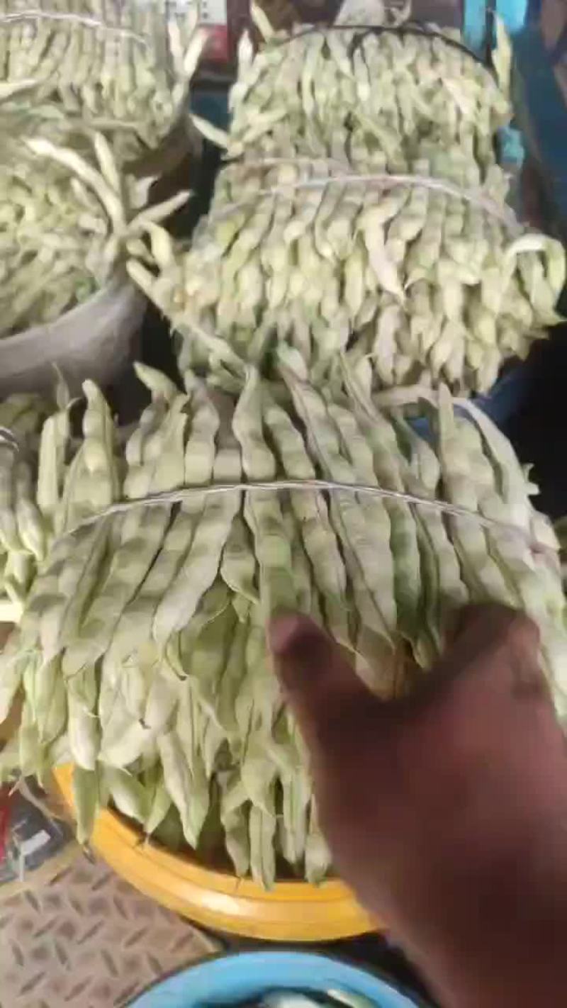 芸豆
