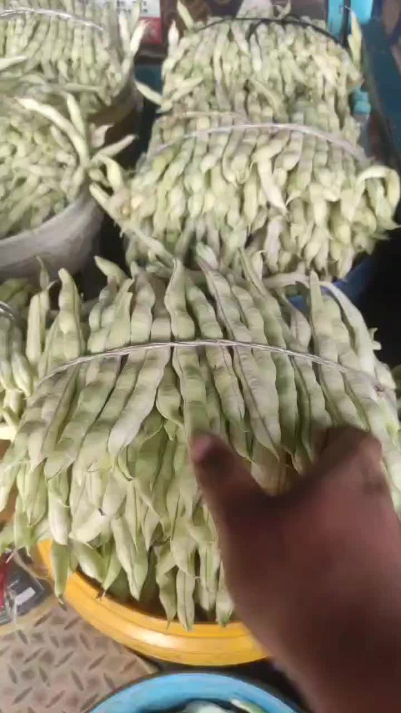 芸豆