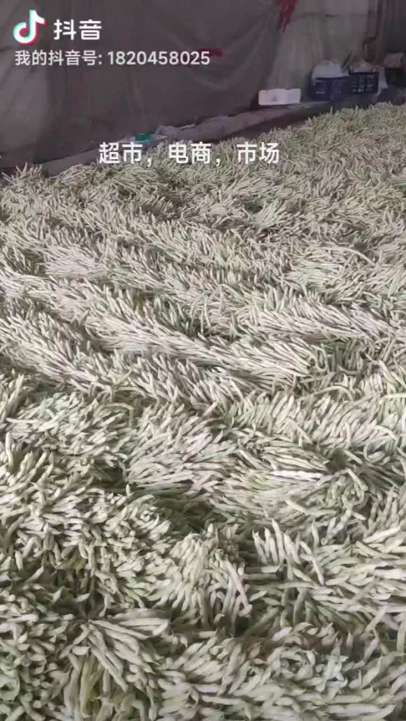 芸豆