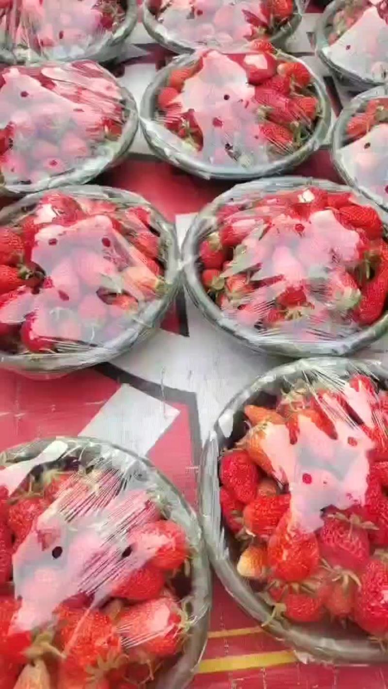 户县草莓产业园