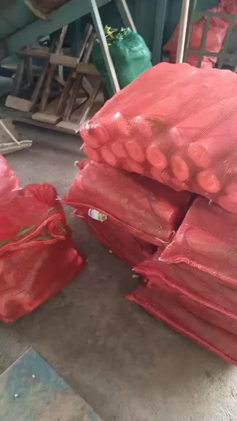 福建建瓯特产苦笋