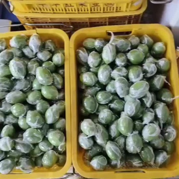 广东香水柠檬