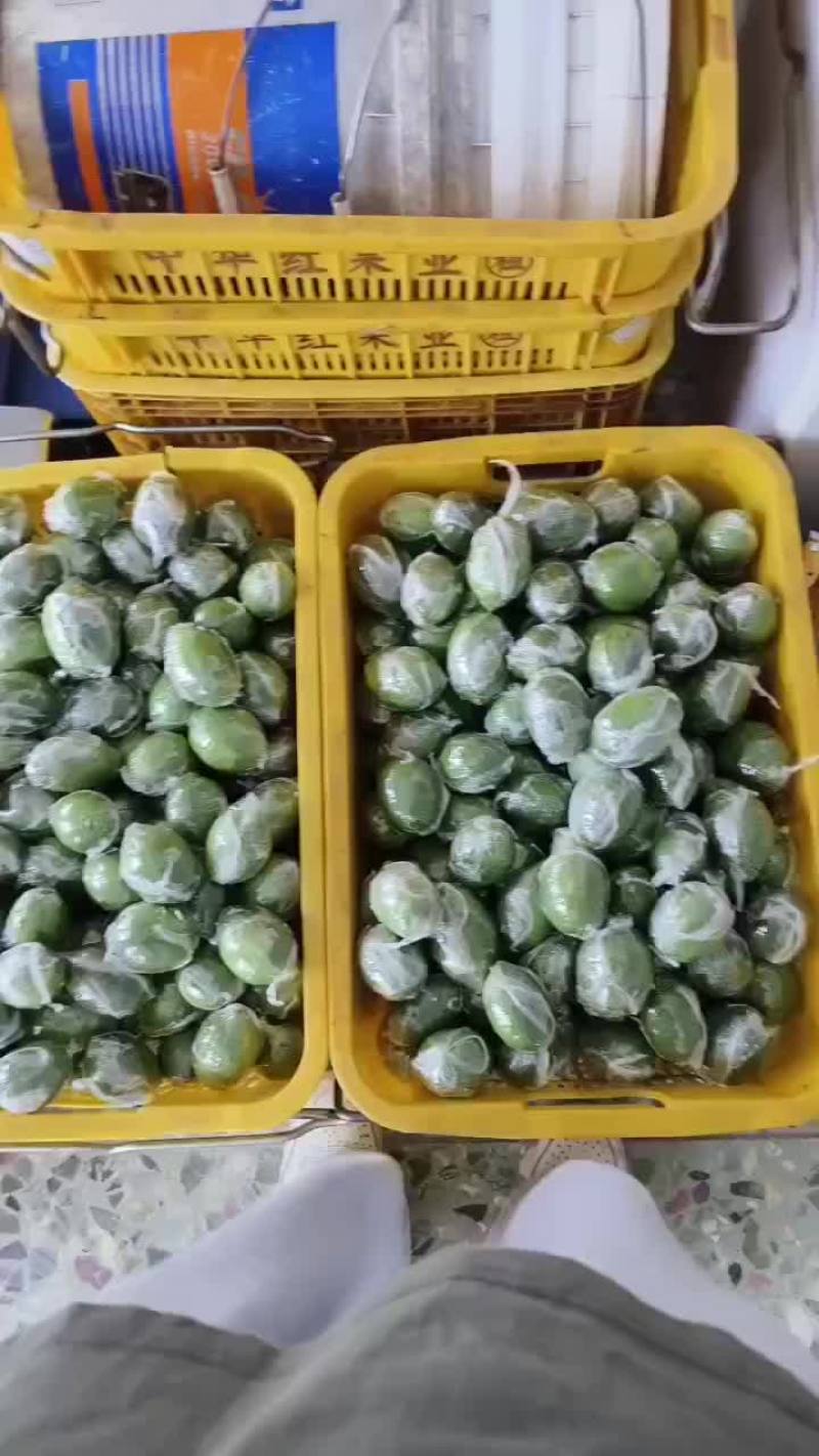 广东香水柠檬