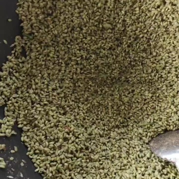 青麦仁