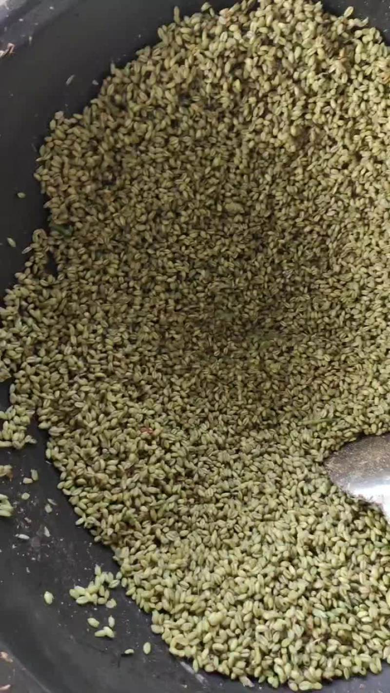 青麦仁