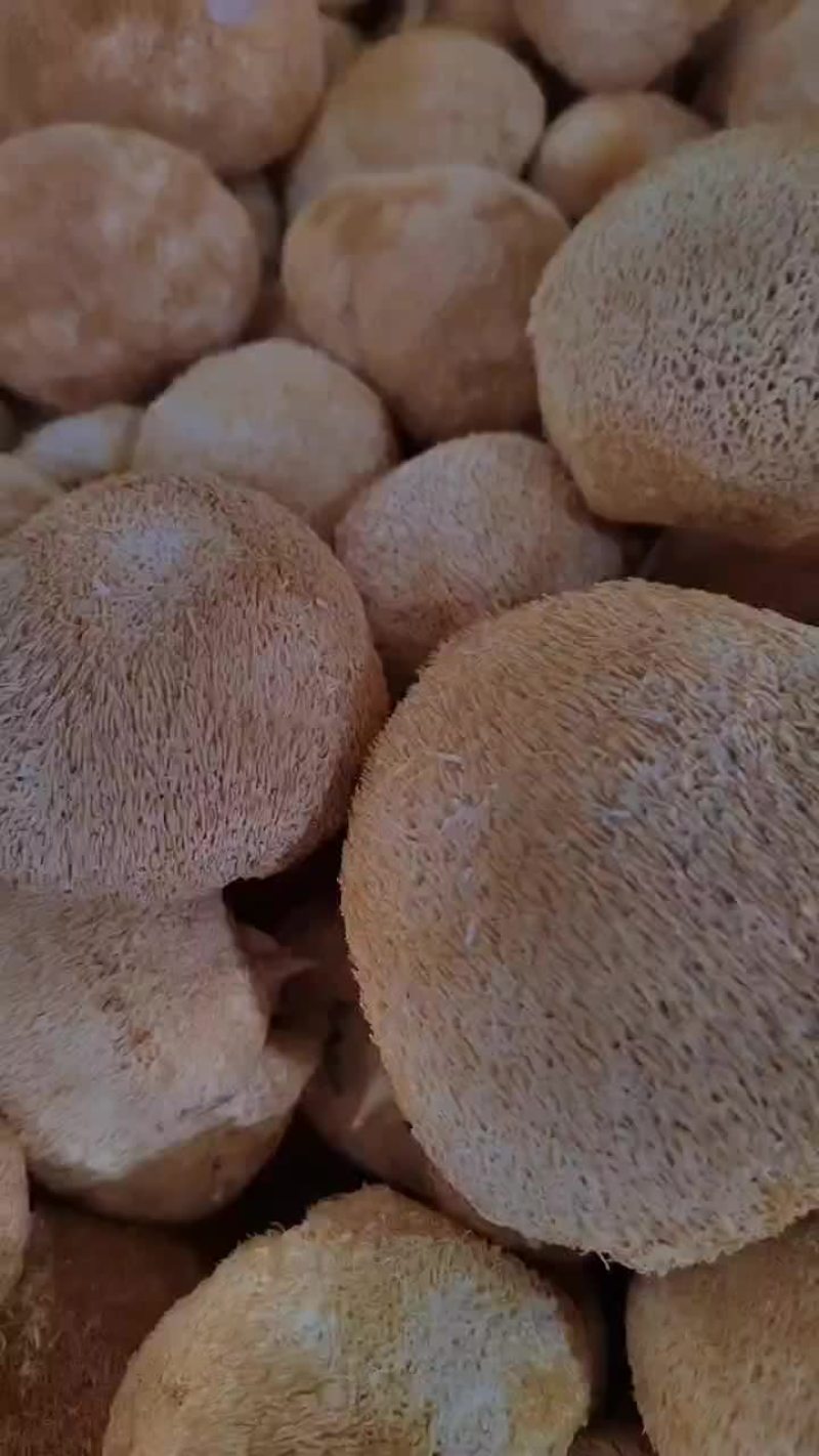 福建省古田县食用菌之都
