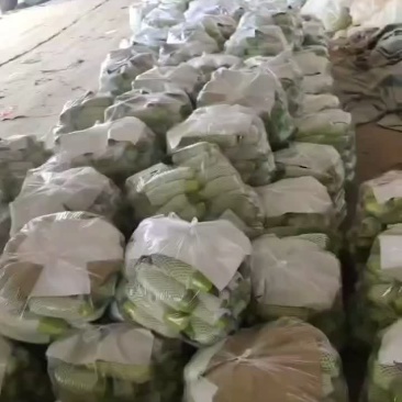 需要联系