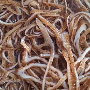 黑底板丝，白底板丝，预订产品规格，