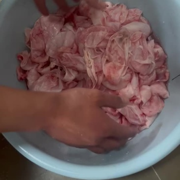 白鲢鱼泡内泡