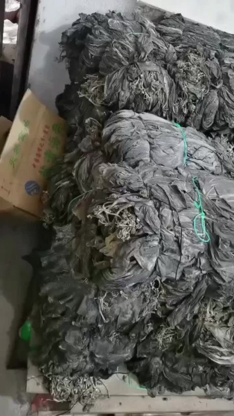 干海带，海带头海带结沙菜海带长板海带短板海带