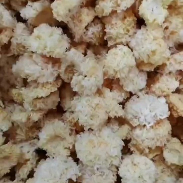 福建省古田县食用菌之都