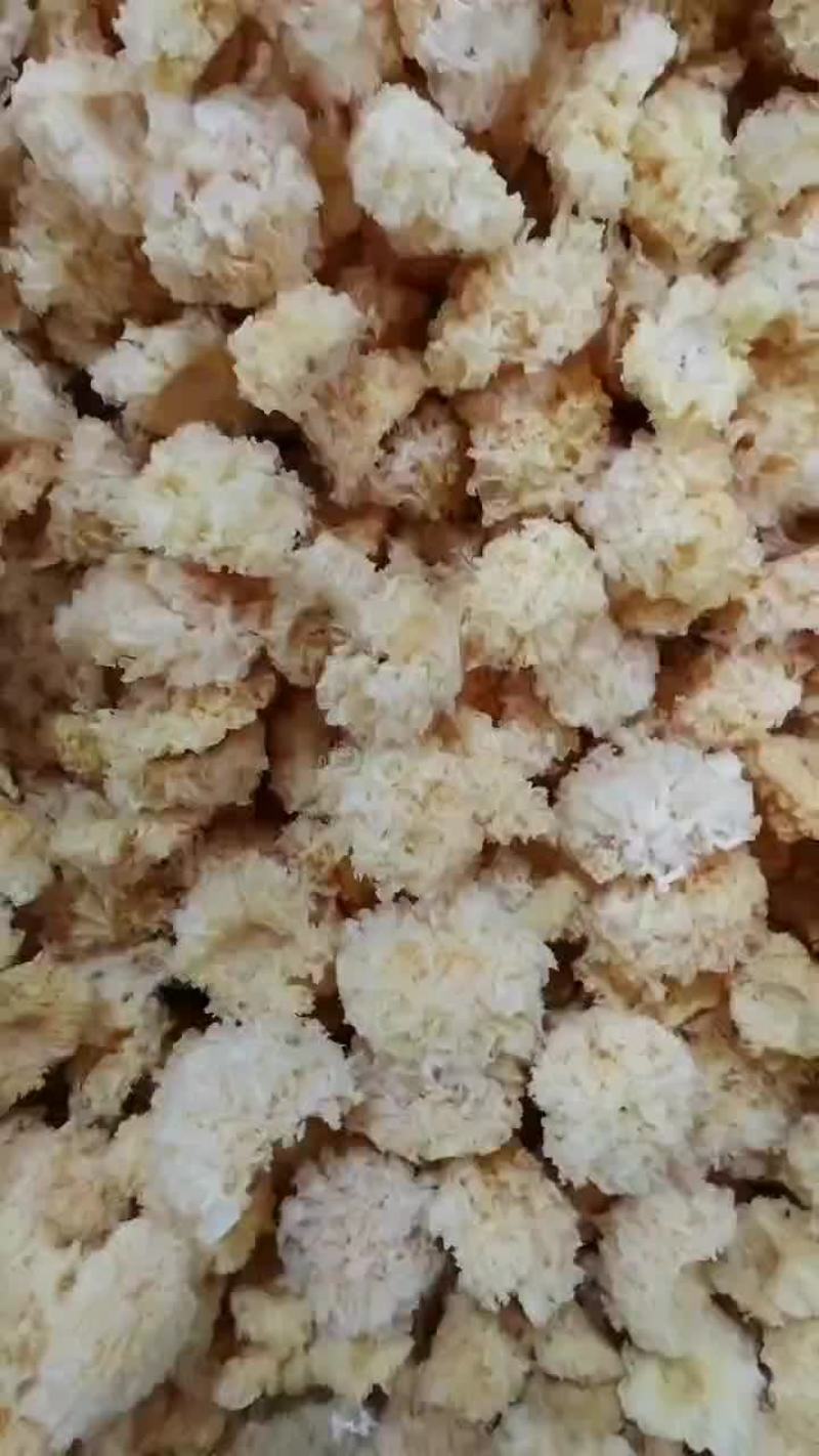 福建省古田县食用菌之都