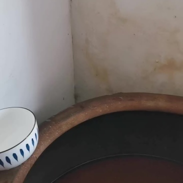 东北老咸纯正宗土蜂蜜一年取一次蜜