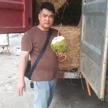 优选推荐海南椰子，大量有货，新鲜椰子通货产地直发一手货源