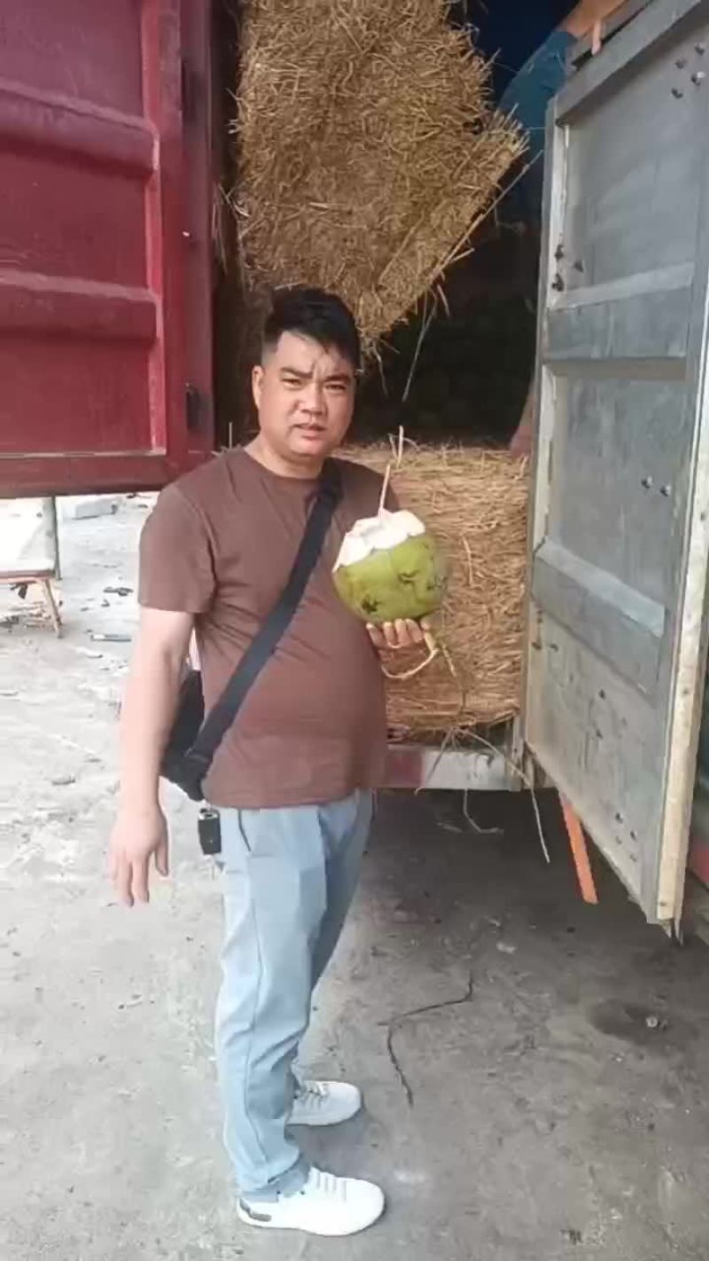 优选推荐海南椰子，大量有货，新鲜椰子通货产地直发一手货源