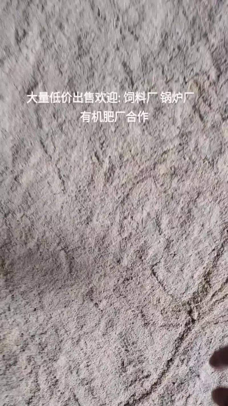 壳糠
