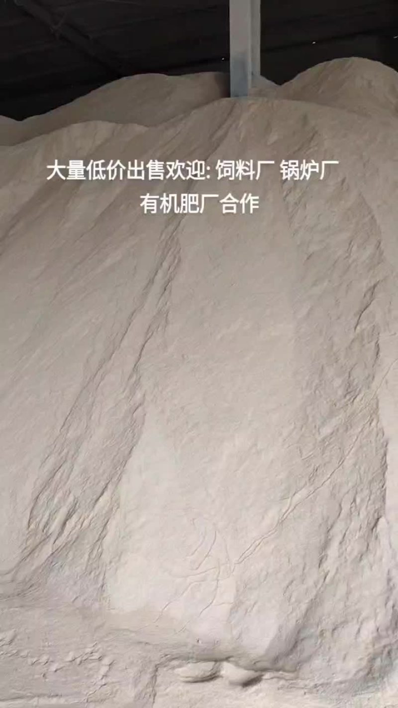 壳糠