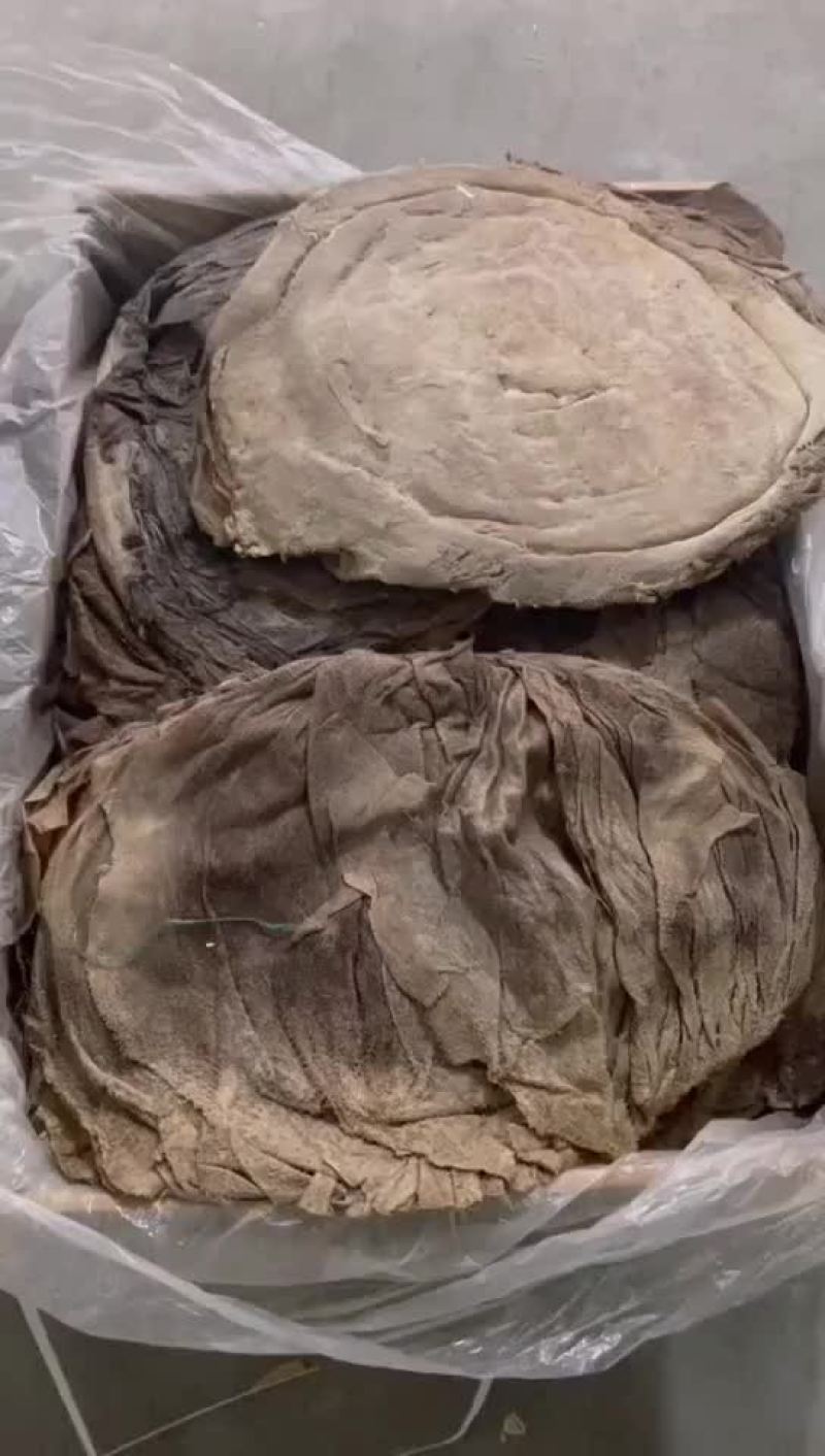 巴基斯坦双a级盐干百叶现货20吨定金留货量大来谈
