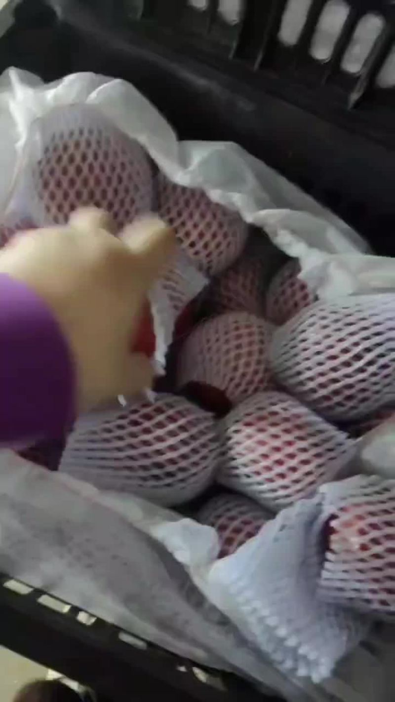 普罗旺斯西红柿口感西红柿