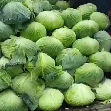 扁包每天发货，支持全国发货