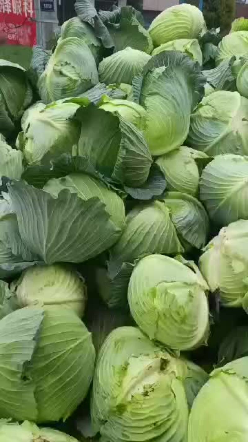 扁包每天发货，支持全国发货