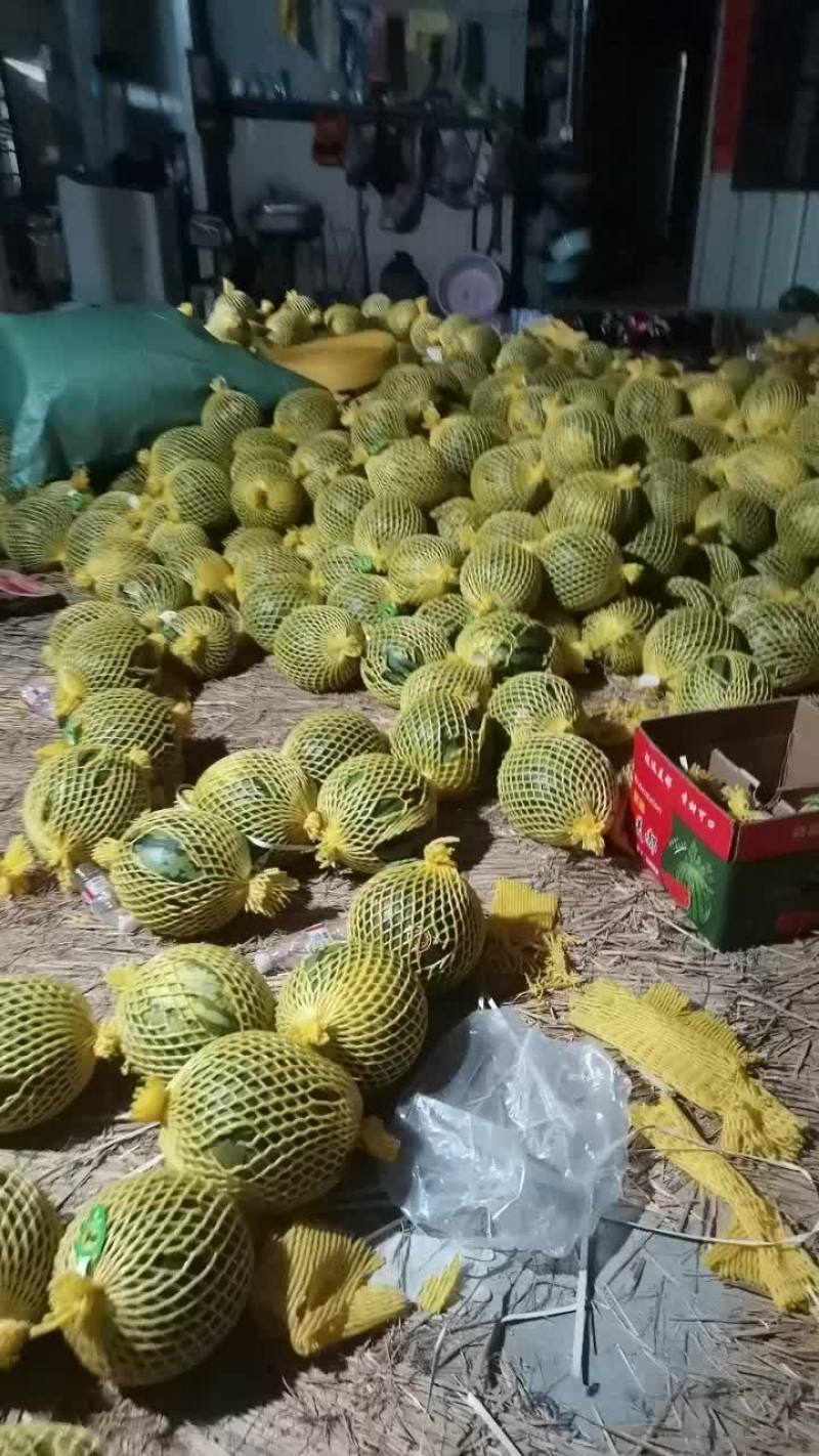 云南甜王