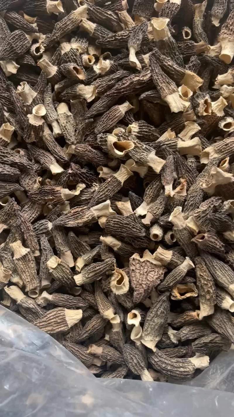 羊肚菌中期货，手选4到7