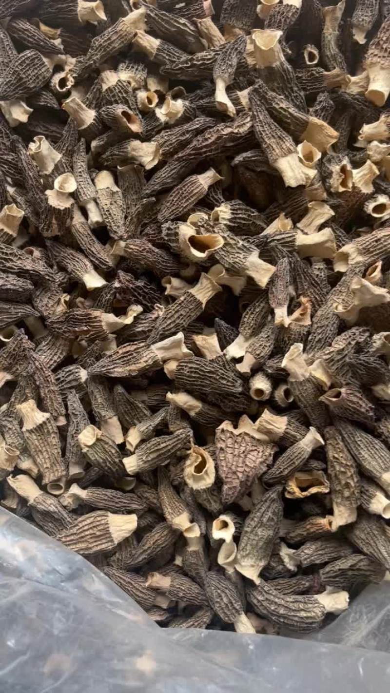 羊肚菌中期货，手选4到7