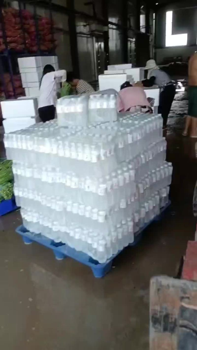 老家大棚豆角大量上市，质优价廉