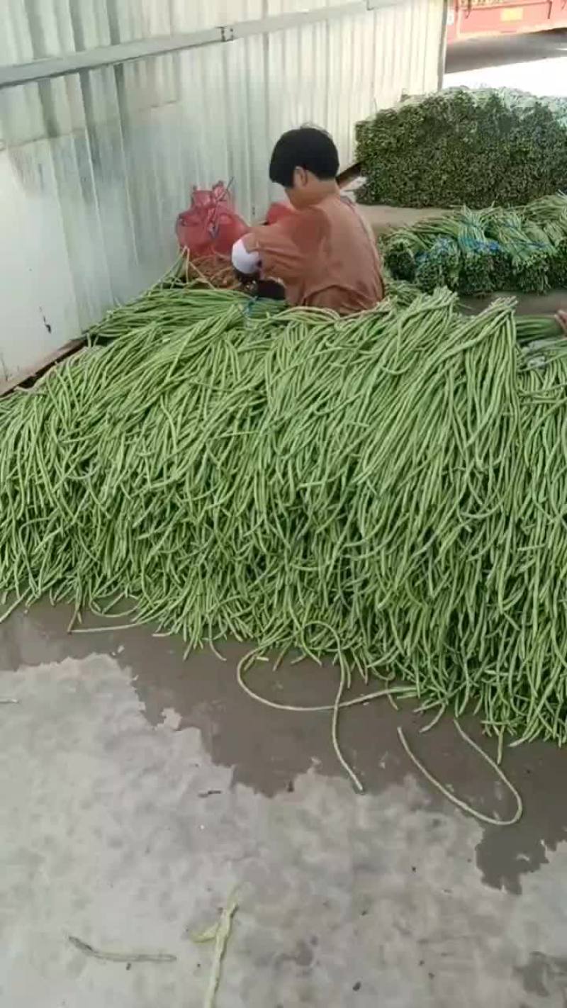老家大棚豆角大量上市，质优价廉