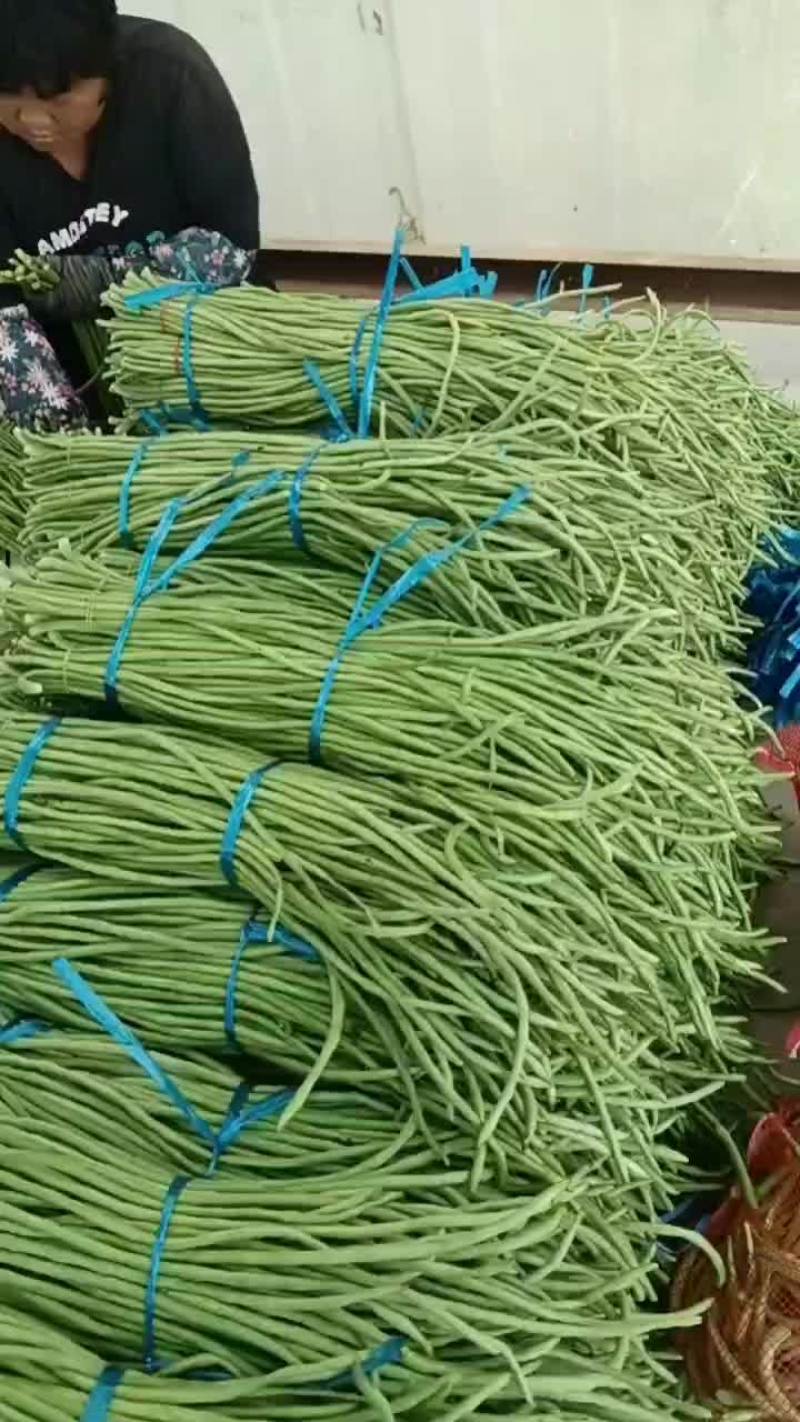 老家大棚豆角大量上市，质优价廉