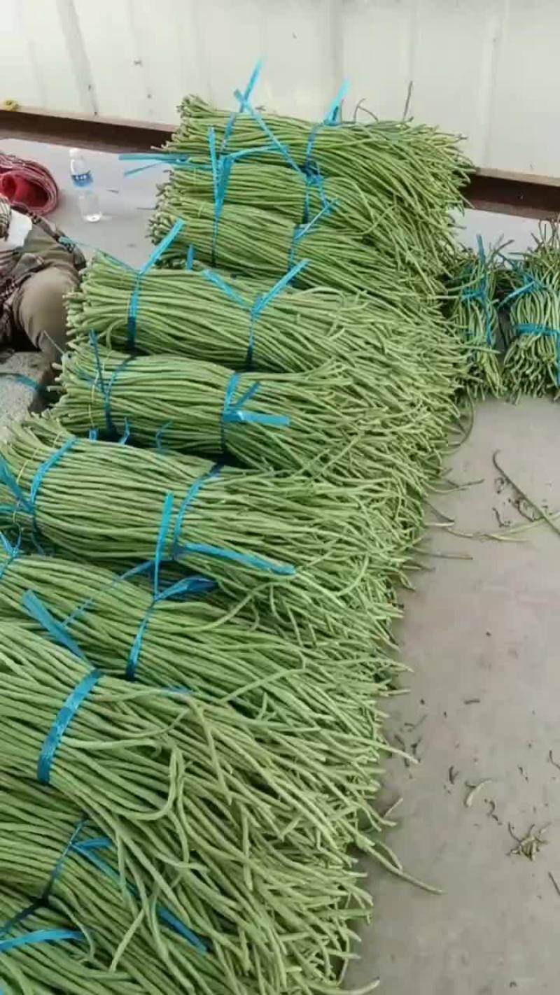 老家大棚豆角大量上市，质优价廉