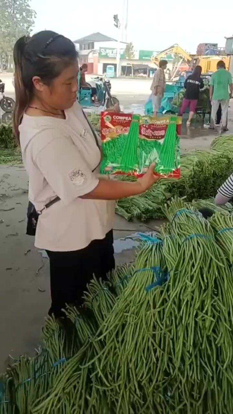 老家大棚豆角大量上市，质优价廉
