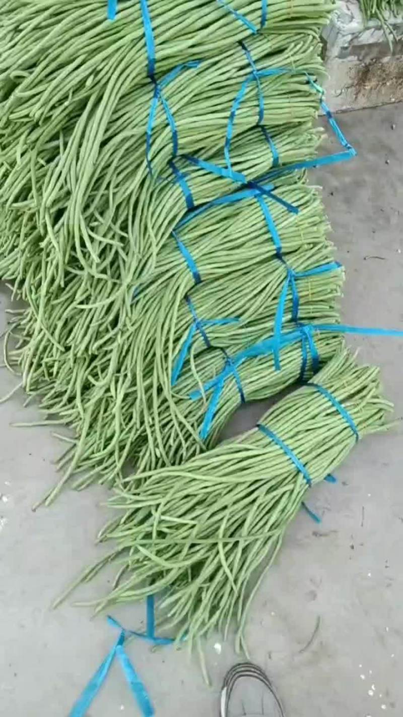 老家大棚豆角大量上市，质优价廉