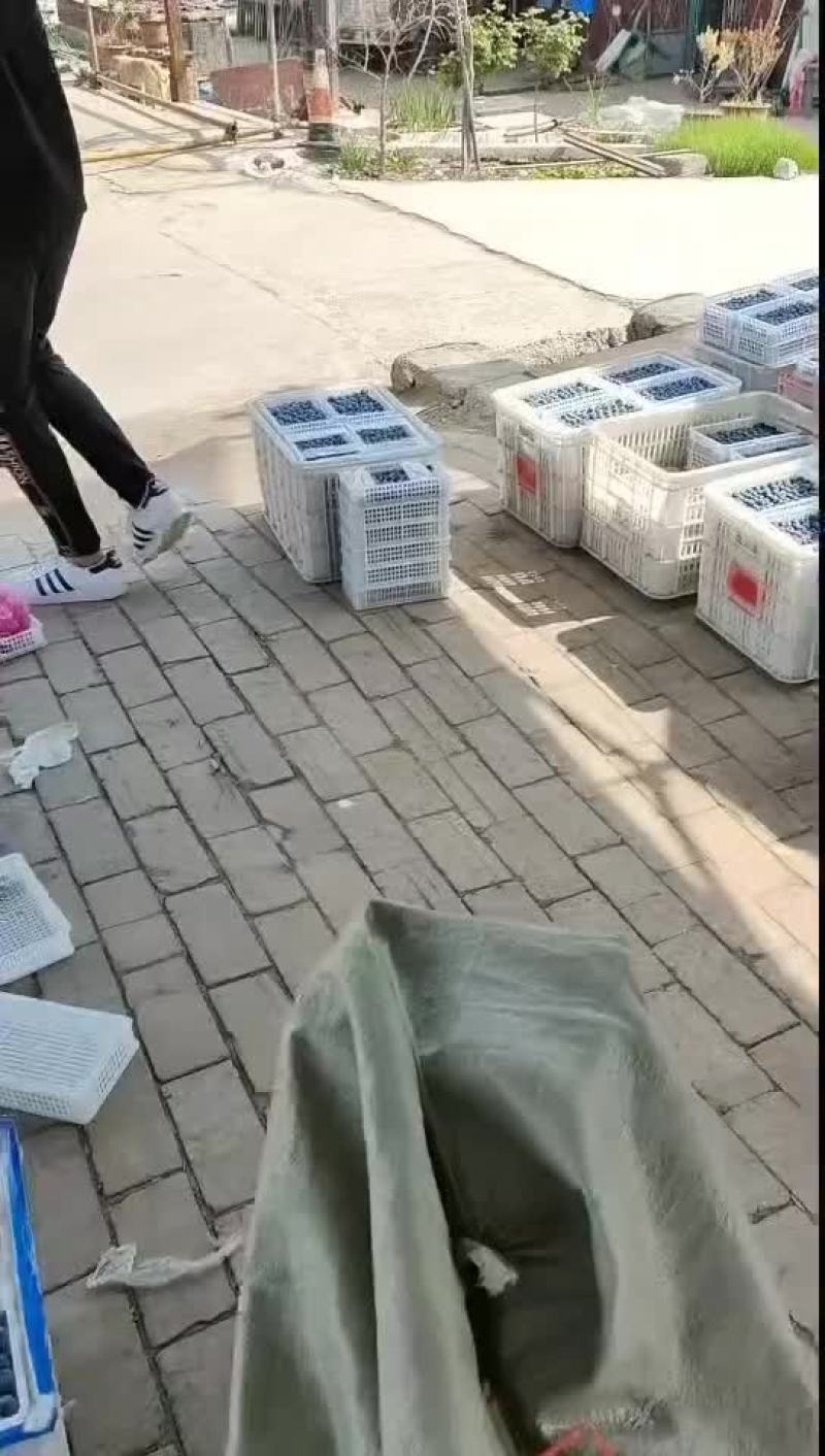 精品蓝莓掉价了L25优瑞卡F6
