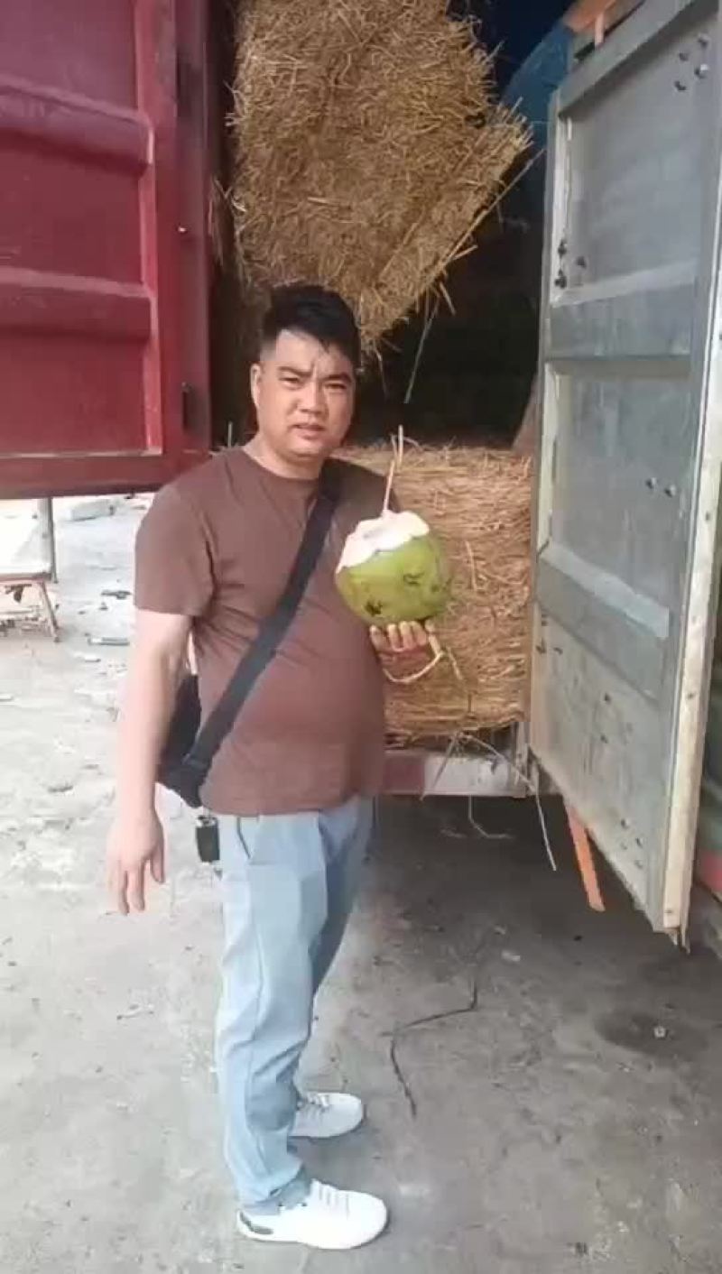 优选推荐海南椰子，大量有货，新鲜椰子通货产地直发一手货源
