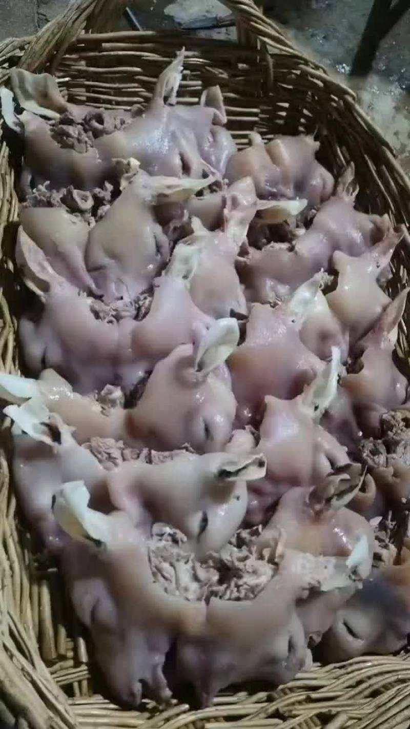 血清牛头9块一斤