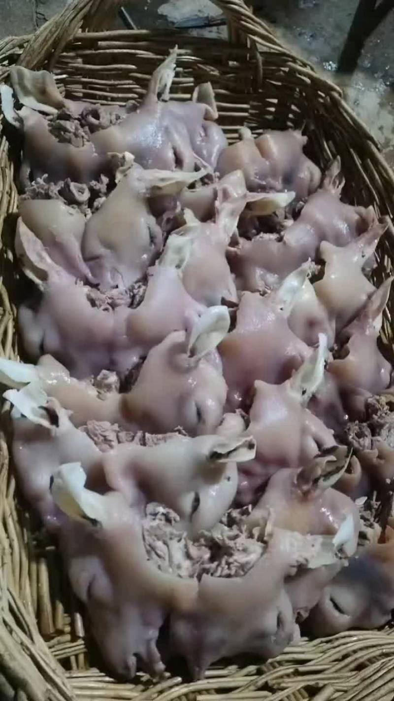 血清牛头9块一斤
