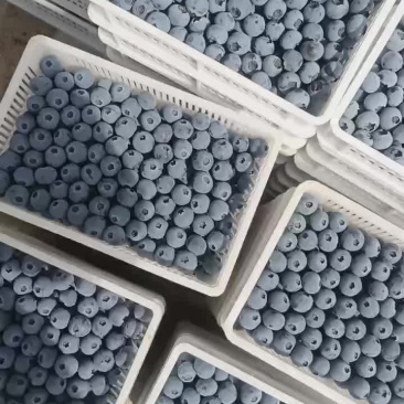 蓝莓降价了L25F6优瑞卡