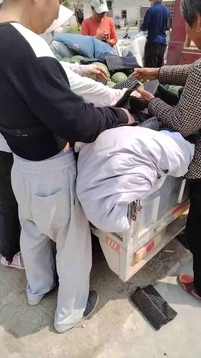 2k礼品瓜以上市，主要对接电商，超市，市场，大量有货