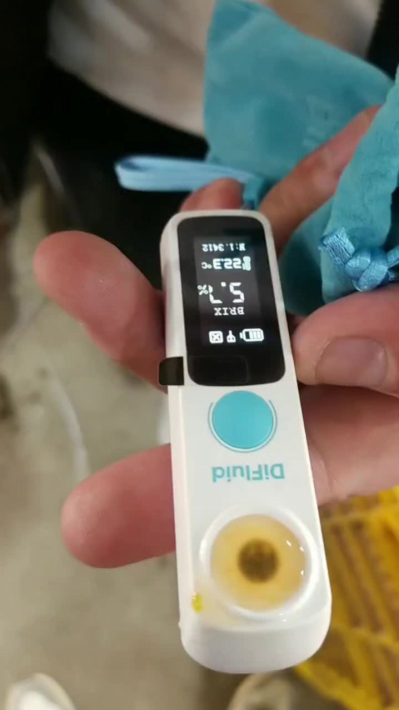 普罗旺斯口感西红柿大量上市，糖度6个左右