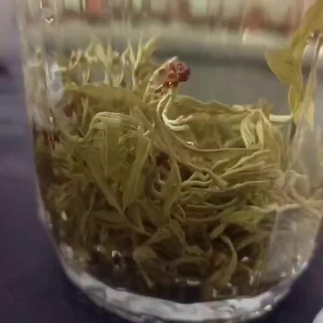 永顺莓茶