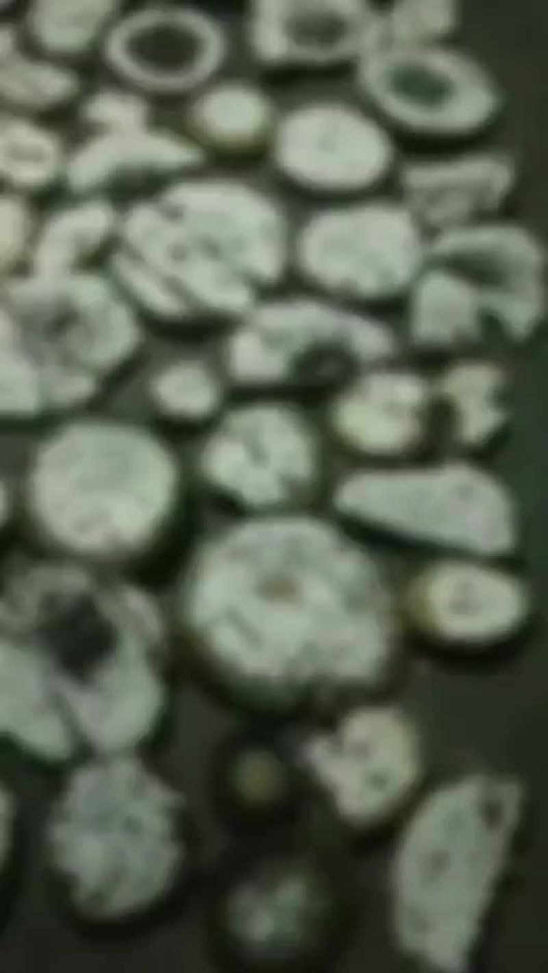 云南野生蜂蛹