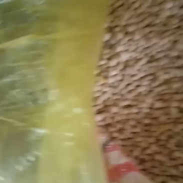 优质高蛋白黄豆全国各地发货