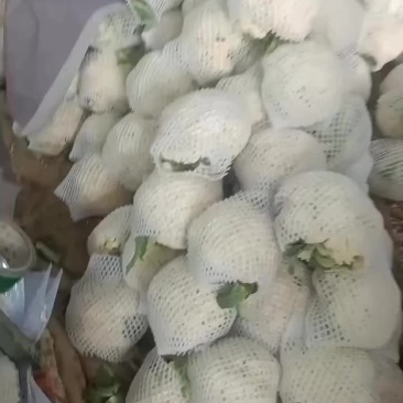 精品有机花
