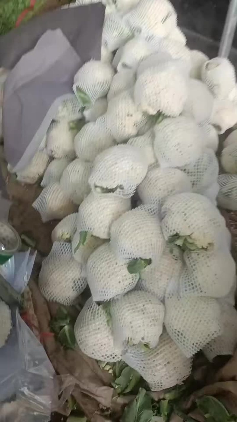 精品有机花
